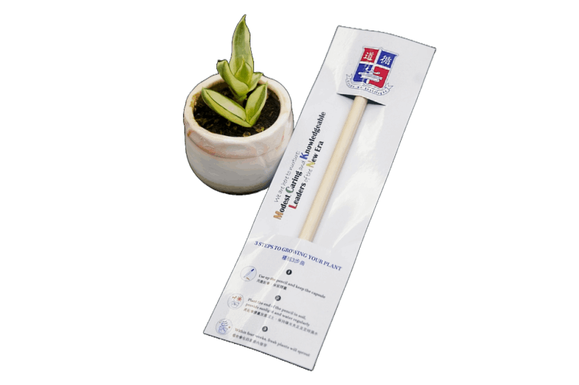 Seed Pencil